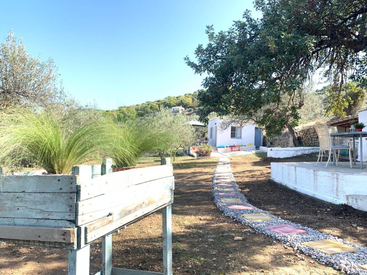 Olive Hill Private House Villa Poros Town ภายนอก รูปภาพ
