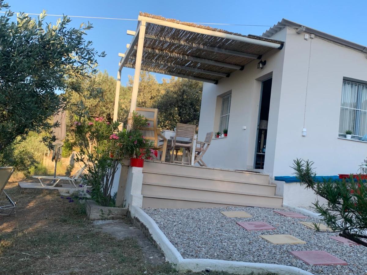 Olive Hill Private House Villa Poros Town ภายนอก รูปภาพ